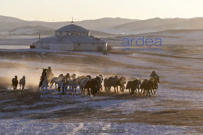 : Chine, Mongolie interieure Province de Heibei : Chine, Mongolie interieure Province de Heibei