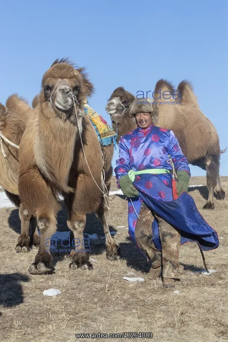 : Chine, Mongolie interieure Province de Heibei : Chine, Mongolie interieure Province de Heibei