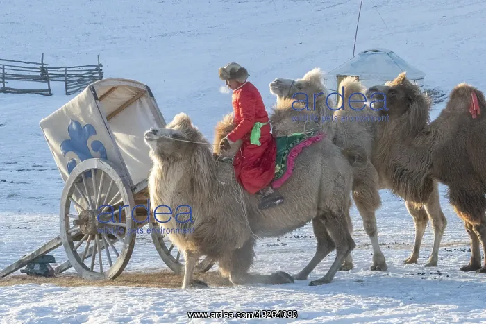 : Chine, Mongolie interieure Province de Heibei : Chine, Mongolie interieure Province de Heibei
