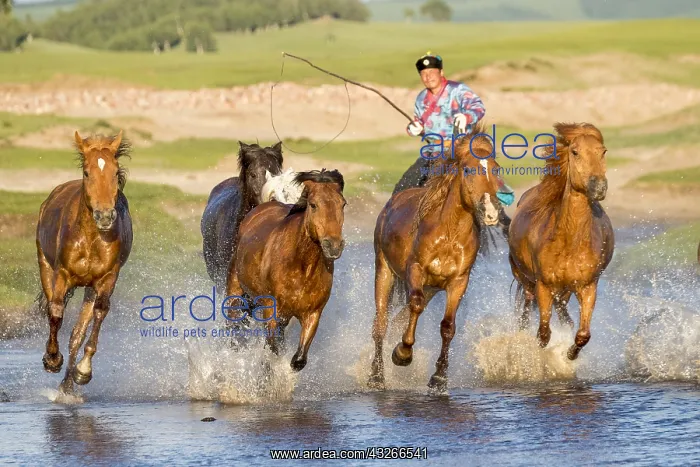 : Chine, Mongolie interieure Province de Heibei : Chine, Mongolie interieure Province de Heibei