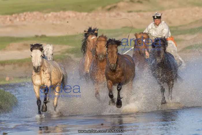 : Chine, Mongolie interieure Province de Heibei : Chine, Mongolie interieure Province de Heibei