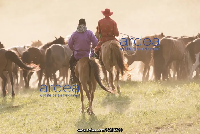 : Chine, Mongolie interieure Province de Heibei : Chine, Mongolie interieure Province de Heibei