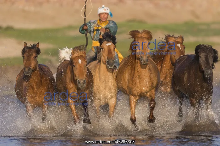 : Chine, Mongolie interieure Province de Heibei : Chine, Mongolie interieure Province de Heibei