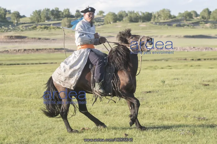 : Chine, Mongolie interieure Province de Heibei : Chine, Mongolie interieure Province de Heibei