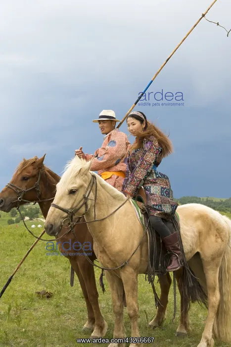 : Chine, Mongolie interieure Province de Heibei : Chine, Mongolie interieure Province de Heibei