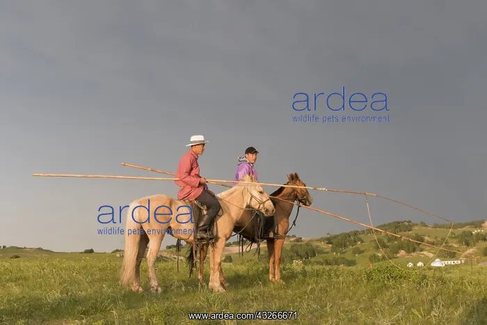 : Chine, Mongolie interieure Province de Heibei : Chine, Mongolie interieure Province de Heibei