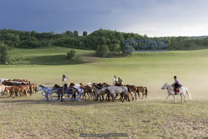 : Chine, Mongolie interieure Province de Heibei : Chine, Mongolie interieure Province de Heibei