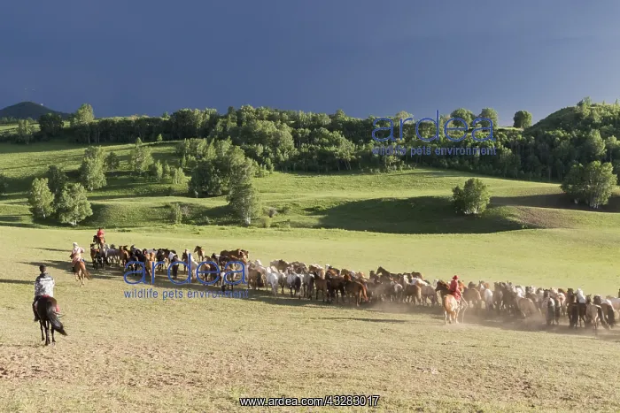  : Chine, Mongolie interieure Province de Heibei