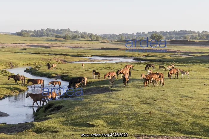  : Chine, Mongolie interieure Province de Heibei