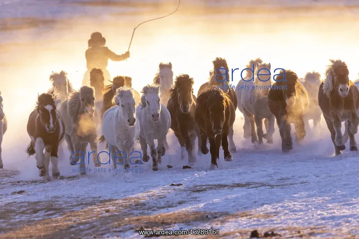 : Chine, Mongolie interieure Province de Heibei : Chine, Mongolie interieure Province de Heibei