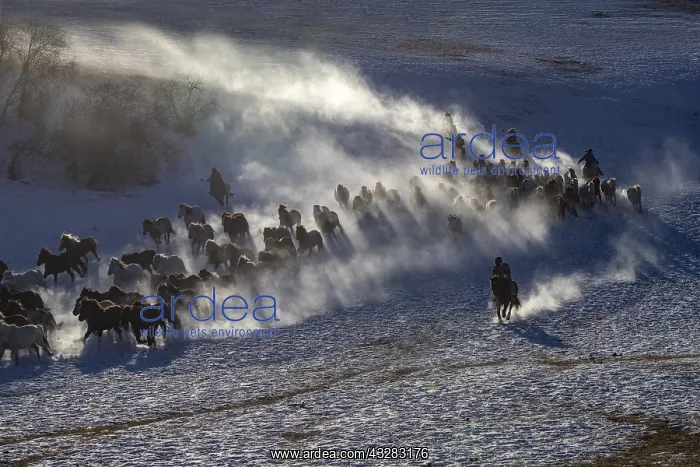 : Chine, Mongolie interieure Province de Heibei : Chine, Mongolie interieure Province de Heibei