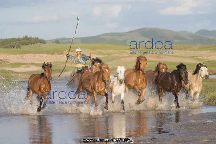 : Chine, Mongolie interieure Province de Heibei : Chine, Mongolie interieure Province de Heibei