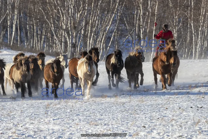  : Chine, Mongolie interieure Province de Heibei