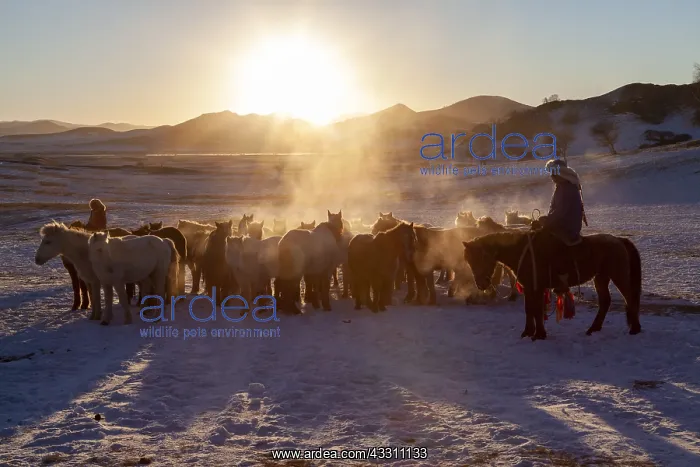 : Chine, Mongolie interieure Province de Heibei : Chine, Mongolie interieure Province de Heibei