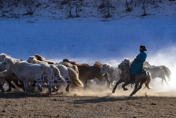  : Chine, Mongolie interieure Province de Heibei