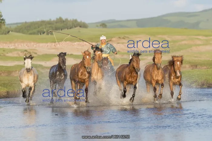  : Chine, Mongolie interieure Province de Heibei