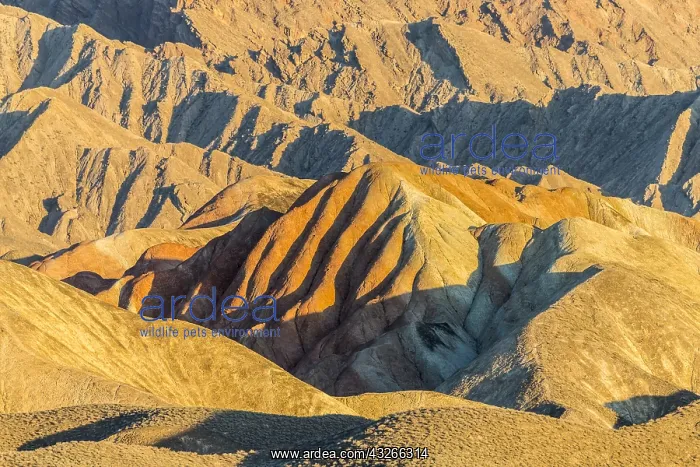: Chine, Province du Gansu, Zhangye, paysages : Chine, Province du Gansu, Zhangye, paysages