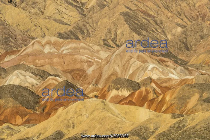 : Chine, Province du Gansu, Zhangye, paysages : Chine, Province du Gansu, Zhangye, paysages
