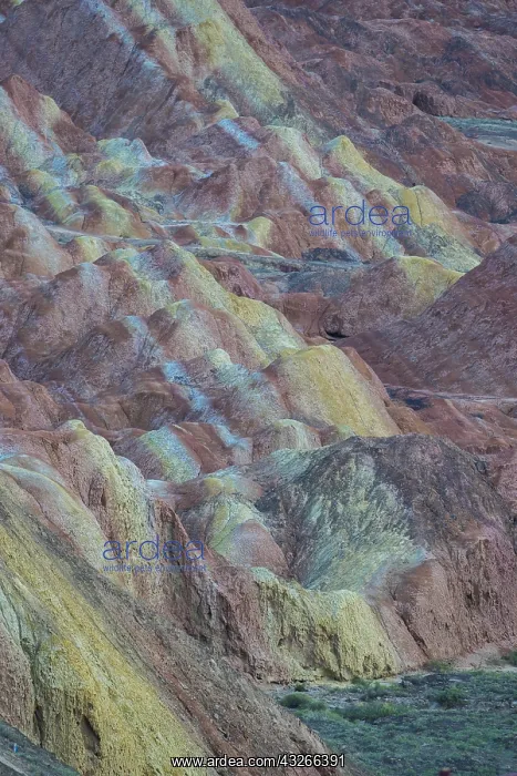: Chine, Province du Gansu, Zhangye, paysages : Chine, Province du Gansu, Zhangye, paysages