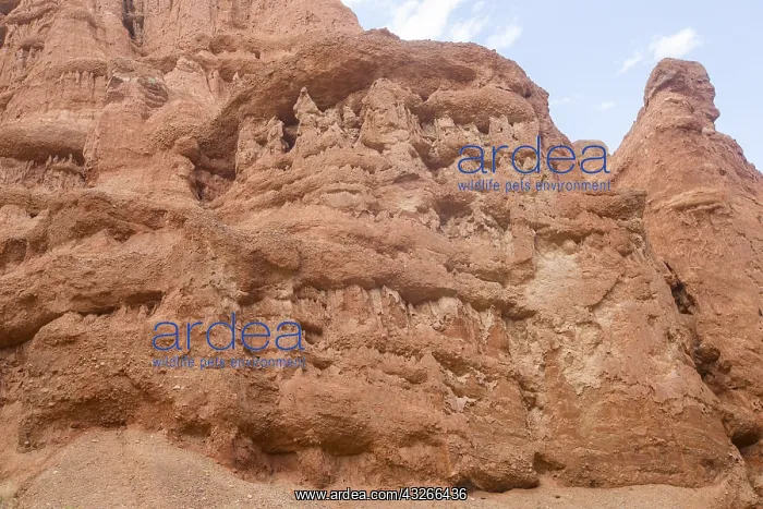 : Chine, Province du Gansu, Zhangye, paysages : Chine, Province du Gansu, Zhangye, paysages