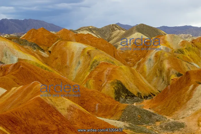 : Chine, Province du Gansu, Zhangye, paysages : Chine, Province du Gansu, Zhangye, paysages