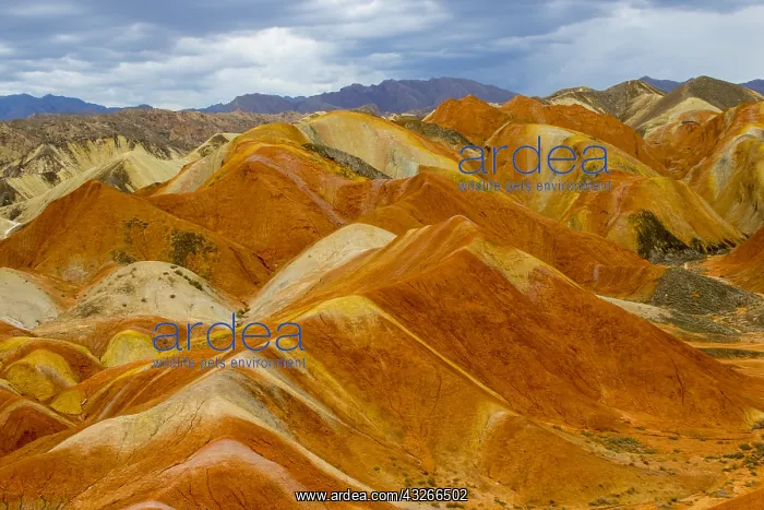 : Chine, Province du Gansu, Zhangye, paysages : Chine, Province du Gansu, Zhangye, paysages