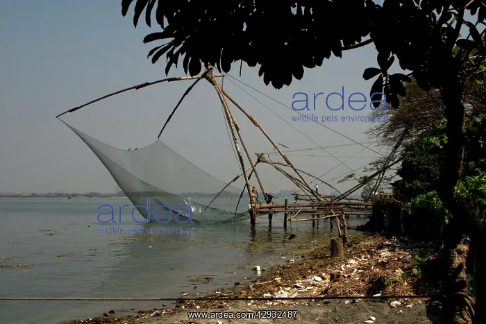 : Chinese fishing nets : Chinese fishing nets