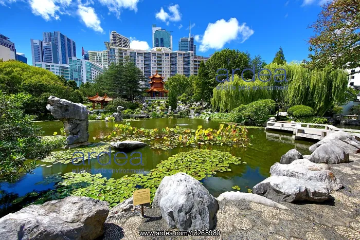: Chinese Garden of Friendship, Darling Harbour, Sydney : Chinese Garden of Friendship, Darling Harbour, Sydney