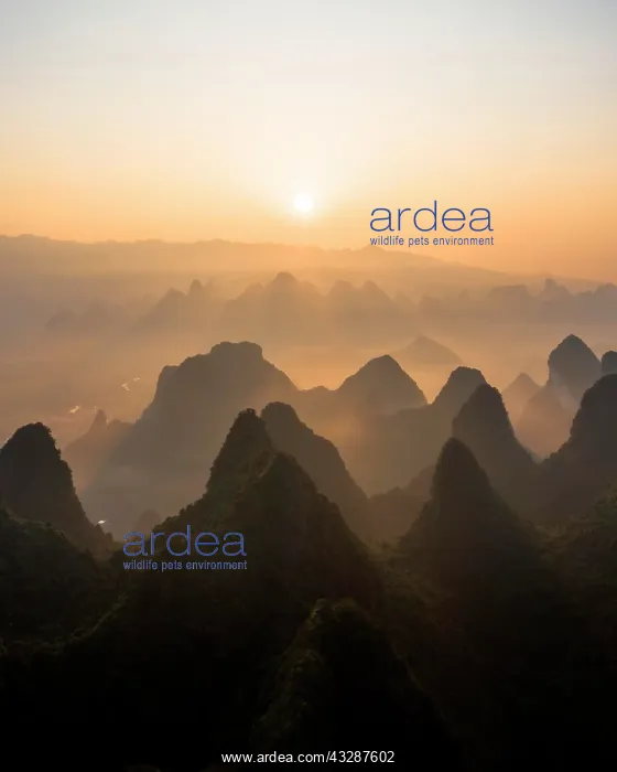 : Chinese karst mountains near Yangshuo at sunrise : Chinese karst mountains near Yangshuo at sunrise