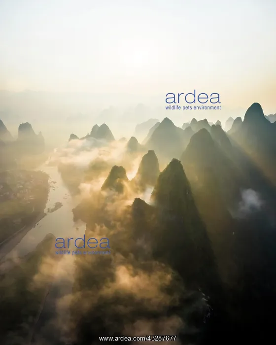 : Chinese karst mountains at the Yangshuo River at : Chinese karst mountains at the Yangshuo River at