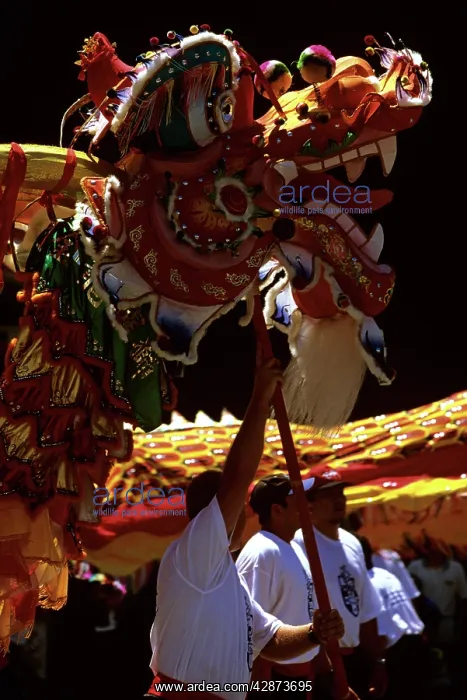 : Chinese New Year celebrations 30-metre dragon : Chinese New Year celebrations 30-metre dragon