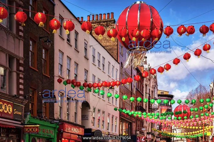 : Chinese New Year decorations, Chinatown, London : Chinese New Year decorations, Chinatown, London
