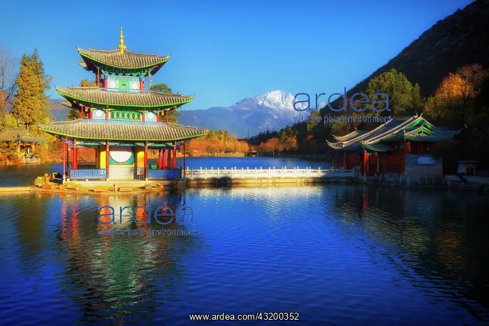 : Chinese pagoda, Deyue Pavilion, reflected in Black : Chinese pagoda, Deyue Pavilion, reflected in Black