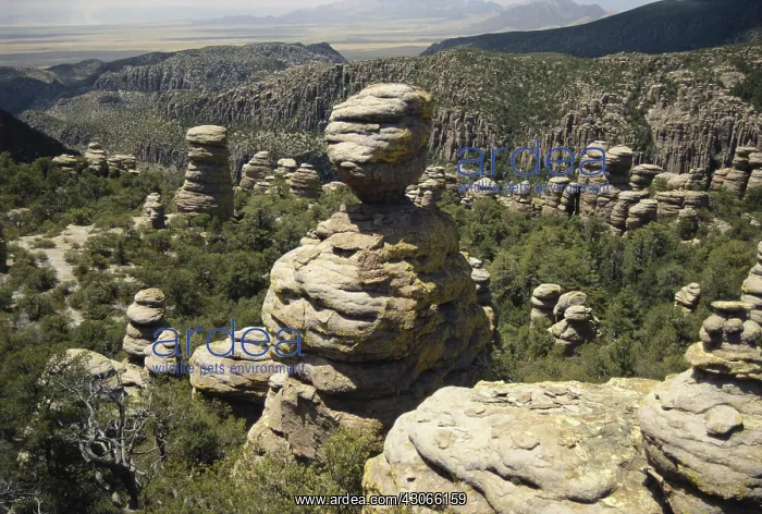 : Chiricahua National Monument : Chiricahua National Monument