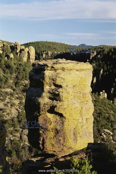: Chiricahua National Monument : Chiricahua National Monument