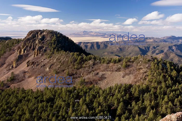 : Chiricahua National Monument, South-east Arizona : Chiricahua National Monument, South-east Arizona