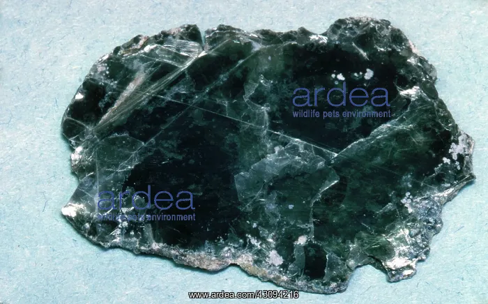 : Chlorite, a greenish mica from Pennsylvania : Chlorite, a greenish mica from Pennsylvania