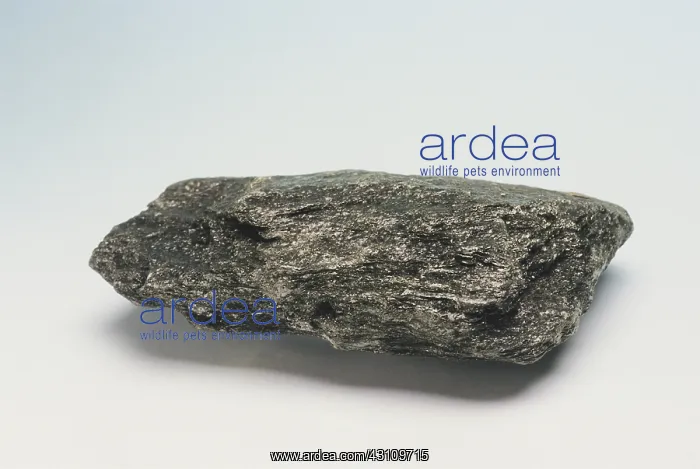 : Chlorite Schist : Chlorite Schist