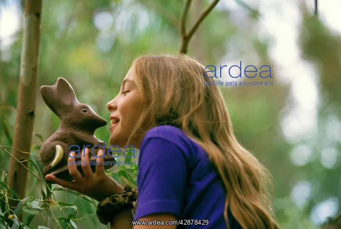 : Chocolate Bilby - AustraliaIs version of the Easter : Chocolate Bilby - AustraliaIs version of the Easter