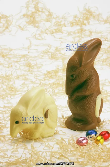 : Chocolate Bilby - AustraliaIs version of the Easter bunny : Chocolate Bilby - AustraliaIs version of the Easter bunny