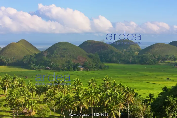: Chocolate Hills, Bohol Island, Philippines : Chocolate Hills, Bohol Island, Philippines