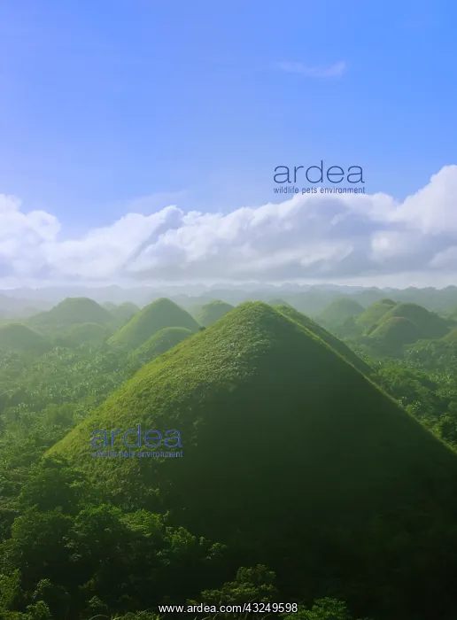 : Chocolate Hills of Bohol Island, Philippines : Chocolate Hills of Bohol Island, Philippines