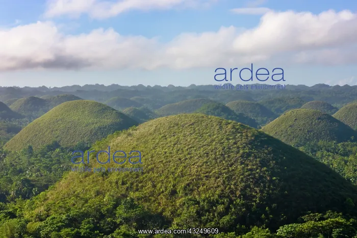 : Chocolate Hills of Bohol Island, Philippines : Chocolate Hills of Bohol Island, Philippines