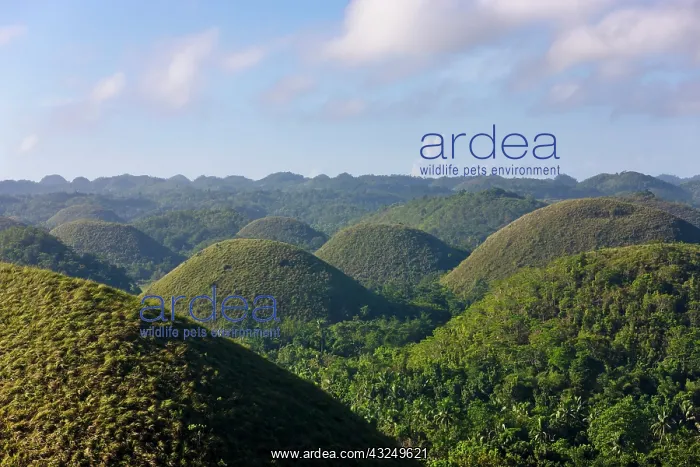 : Chocolate Hills of Bohol Island, Philippines : Chocolate Hills of Bohol Island, Philippines