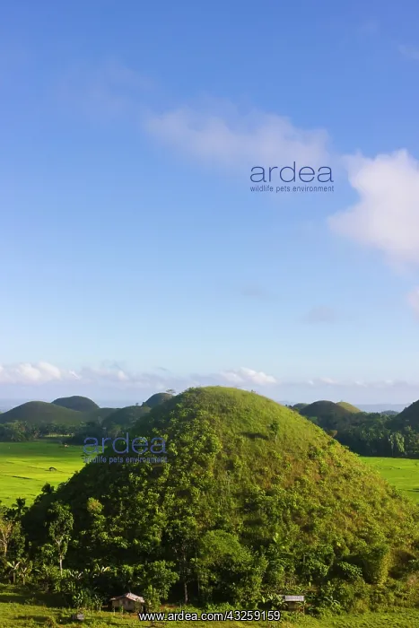 : Chocolate Hills, Bohol Island, Philippines : Chocolate Hills, Bohol Island, Philippines