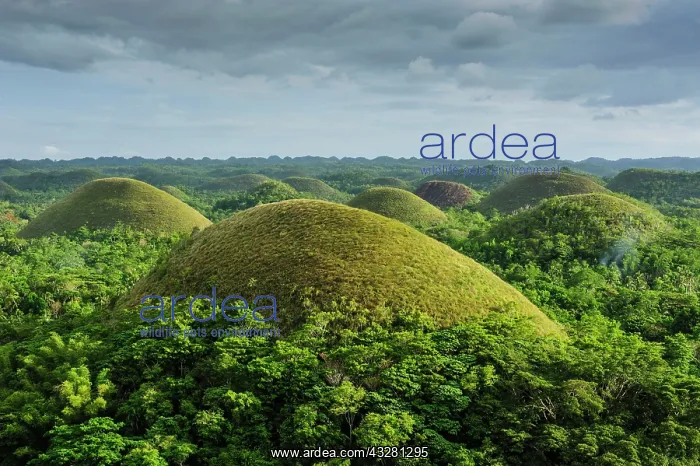 : Chocolate Hills, Bohol, Philippines, Asia : Chocolate Hills, Bohol, Philippines, Asia