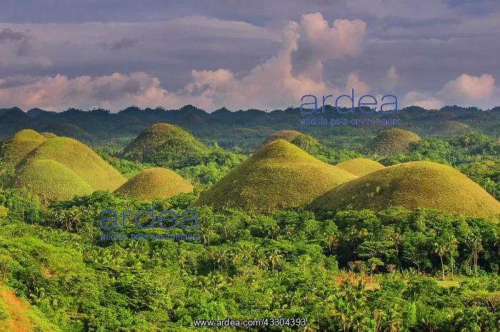  : Chocolate Hills, Bohol, Philippines, Asia