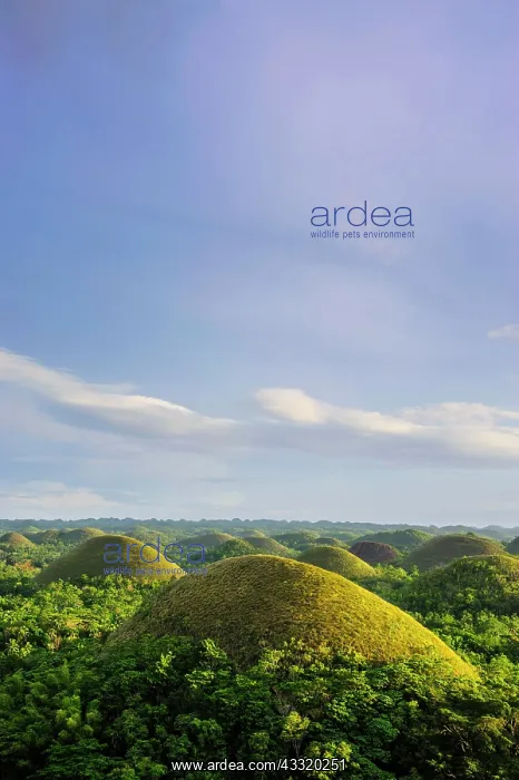 : Chocolate Hills, Bohol, Philippines, Asia : Chocolate Hills, Bohol, Philippines, Asia