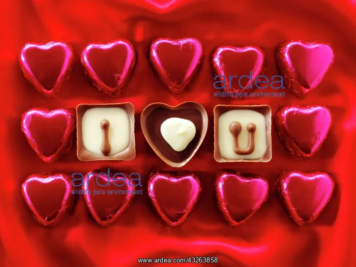 : Chocolates forming the words I love U : Chocolates forming the words I love U