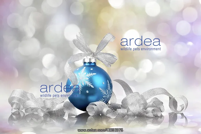 : christmas balls on a holiday lights background : christmas balls on a holiday lights background